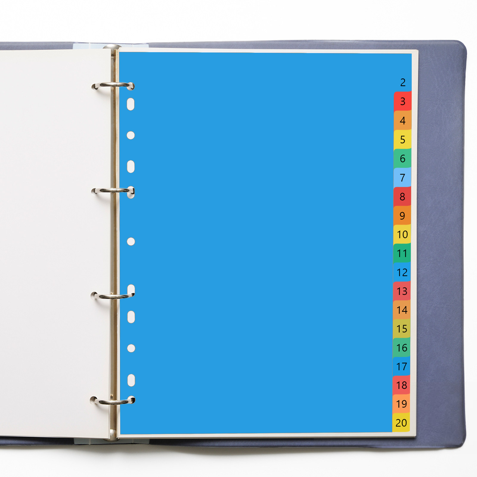 Tab Divider A4 - A4 カラフルなプラスチック製分類インデックスページタブディバイダー、バインダーノート用、丈夫な素材で折れにくい