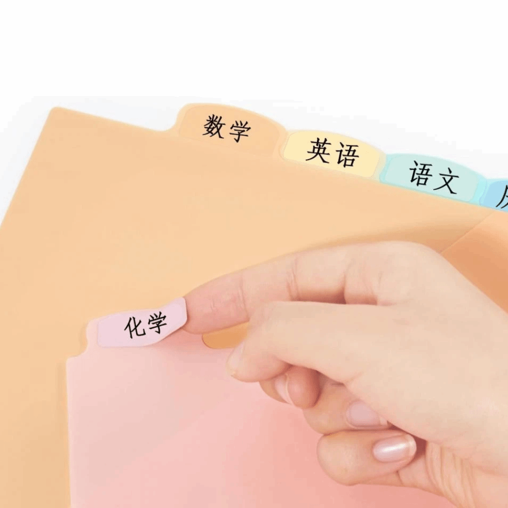 A4パステルバインダーディバイダー8枚、3リングバインダー用 - Tab Divider A4 のレビューと価格